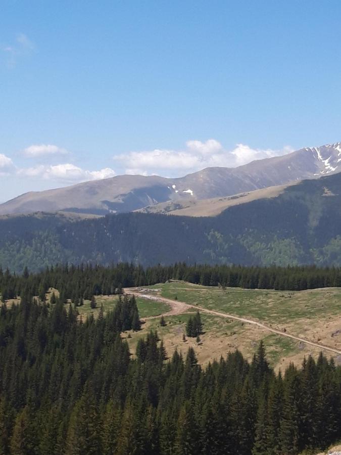 Piatra Rancii Hotel Rânca Eksteriør billede